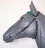 Picture of Trail Bridle