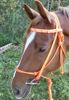 Picture of Bridle Converter Lite