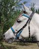Picture of Halter Bridle with Bit Hangers