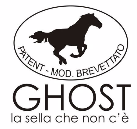 Picture for category Ghost Classic saddles