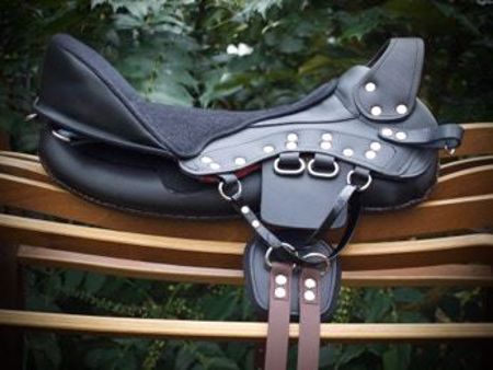 Picture for category About Saddle Design