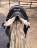 Picture of Classic Stonewall Endurance Saddle  SOLD!
