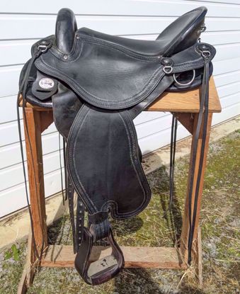 Picture of Evolutionary Saddle, SOLD!