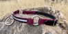 Picture of Double Buckle Horse Collar with Leather Breakaway Strap