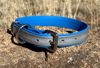 Picture of Dog Collar