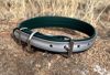 Picture of Dog Collar