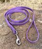 Picture of Dog Leash