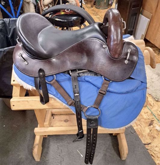 Picture of Evolutionary "The Minimalist" Saddle Model