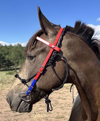 Picture of Bridle Converter (straight cheek pieces)