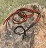 Picture of Evolution Bridle w/ Included Reins
