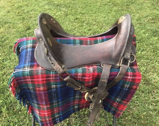 Picture of Antique McClellan Cavalry Saddle, PRICE REDUCED!