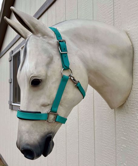 Picture of Classic Halter, Arab Size, Color: Teal OUT OF STOCK