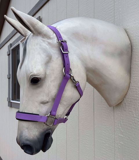 Picture of Classic Halter, Horse Size, Color: Amethyst Orchid OUT OF STOCK