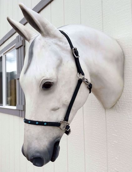 Picture of Double Buckle Halter, Horse Size, Color: Black & Blue OUT OF STOCK