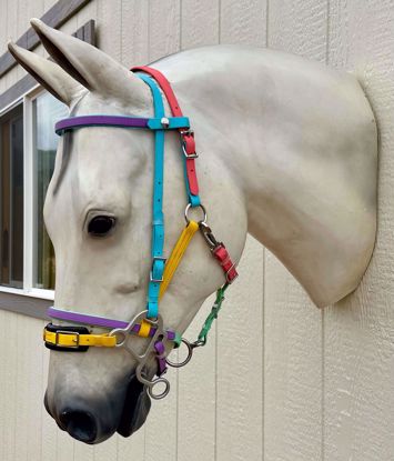 Picture of Halter Bridle w/ Hackamore Setup, Arab Size, Color: Rainbow OUT OF STOCK