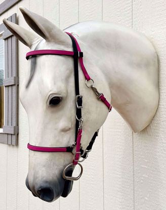 Picture of Halter Bridle, Horse Size, Color: Black & Magenta