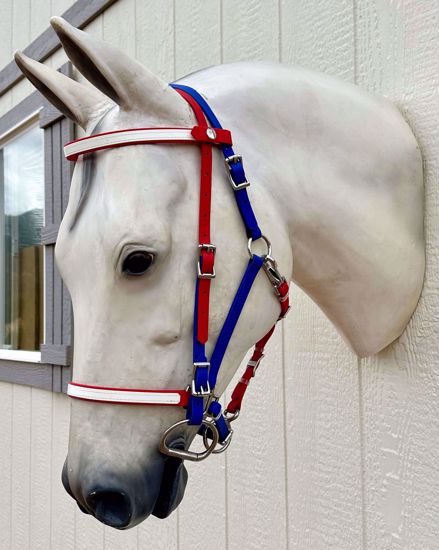 Picture of Halter Bridle, Horse Size, Color: Red, White & Blue OUT OF STOCK