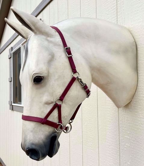 Picture of Sidepull, Horse Size, Color: Merlot OUT OF STOCK