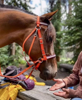 Picture of Evolution Bridle with Included Reins