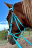 Picture of Evolution Bridle w/ Included Reins