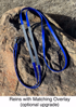 Picture of Evolution Bridle w/ Included Reins