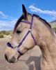 Picture of Hackamore Lite (conway cheeks)