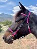 Picture of Halter Bridle with Bit Hangers