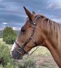 Picture of No Brow Halter Bridle with Bit Hangers