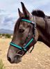 Picture of Halter Bridle Convertible Lite (no halter squares)