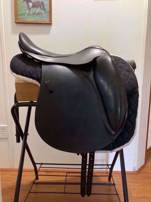 Picture of Free 'n' Easy Endurance Special, SOLD!