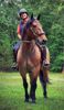 Picture of Bridle Converter (straight cheek pieces)