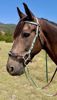 Picture of Hackamore Deluxe with Grippy Reins - ON SALE