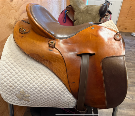 Picture of Specialized Saddle English Cutback, NEW LISTING!