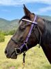 Picture of Bridle Converter (angled cheek pieces)