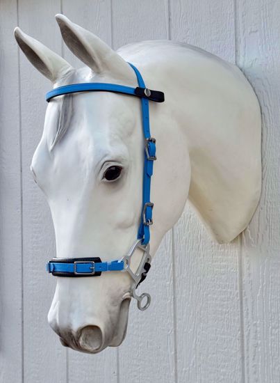 Picture of Bridle Converter with Hackamore, Arab Size, Color: Cerulean Blue - READY TO SHIP