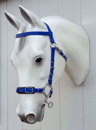 Picture of Hackamore Lite, Arab Size, Color: Royal Blue - READY TO SHIP
