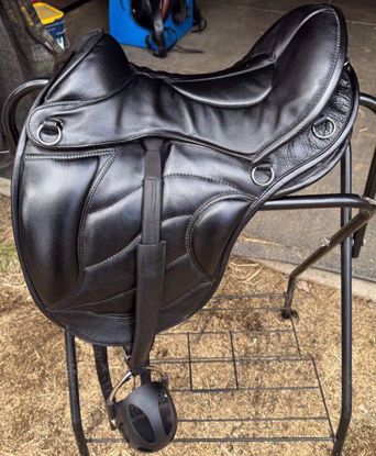 Picture of Sensation Dressage Trail Package, NEW LISTING!