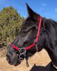 Picture of No Brow Hackamore Deluxe (buckle cheeks)
