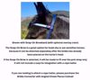 Picture of No Brow Hackamore Deluxe (buckle cheeks)