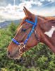 Picture of Hackamore Deluxe (buckle cheeks)