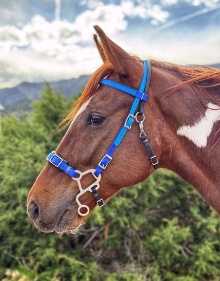 Picture of Hackamore Deluxe (straight cheeks with buckles)