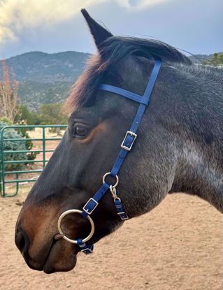 Picture of Trail Bridle (angled cheeks)