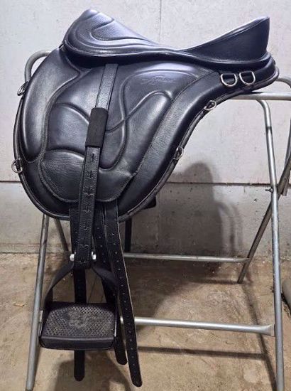 Picture of Freeform Classic Treeless Saddle - Short Back, NEW LISTING!