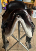 Picture of DeSoto Endurance Saddle - Custom Made, SOLD!