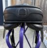 Picture of Ghost Treeless Saddle: Torino, NEW LISTING!